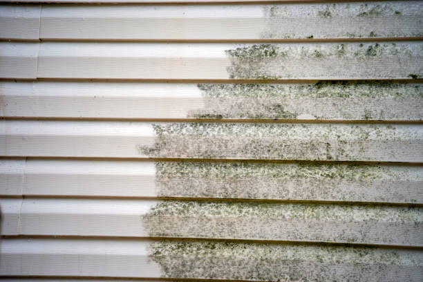 Siding for Multi-Family Homes in Beecher, MI