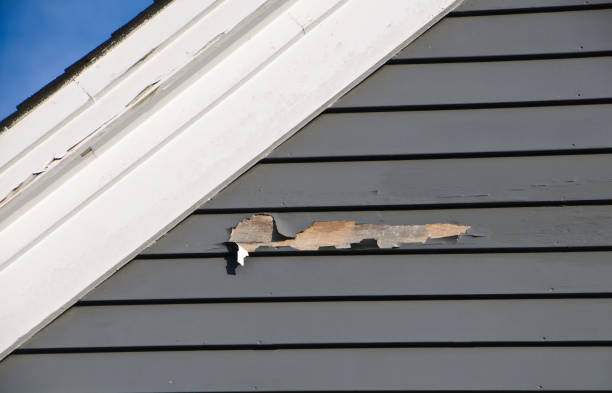 Affordable siding repair and maintenance services in Beecher, MI