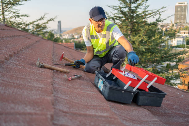 Best Siding Painting and Refinishing  in Beecher, MI