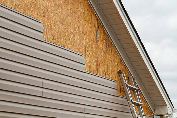 Best Insulated Siding Installation  in Beecher, MI